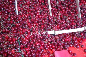 Cherries at Rue Cler