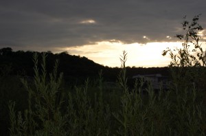 DSC_8829